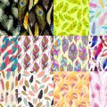 Motifs Plume (4)