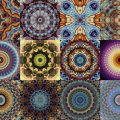 Motifs Rosace (2)