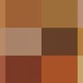 Nuancier Couleurs de bois