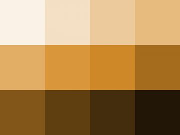 Nuancier : Brun (1) Nuancier Brun (1)
