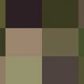Nuancier Camouflage