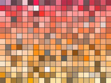 Nuancier couleurs des champignons