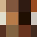 Nuancier Couleurs des cheveux (9)