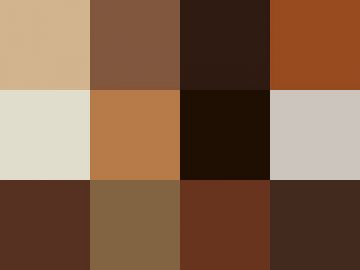 Nuancier Couleurs des cheveux (9)