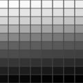Nuancier 100 niveaux de gris