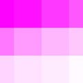 Nuancier Magenta-Blanc