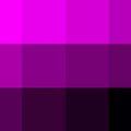 Nuancier Magenta-Noir