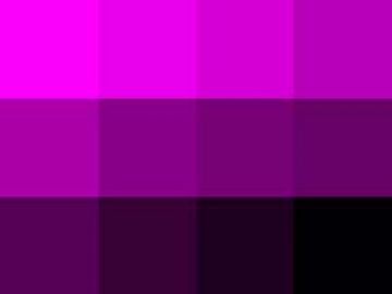 Nuancier Magenta-Noir