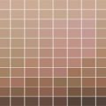 Nuancier Pantone SkinTone (couleur de peau)