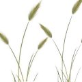 Peindre une herbe sauvage