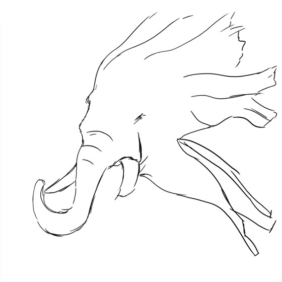 Arbre-éléphant 02