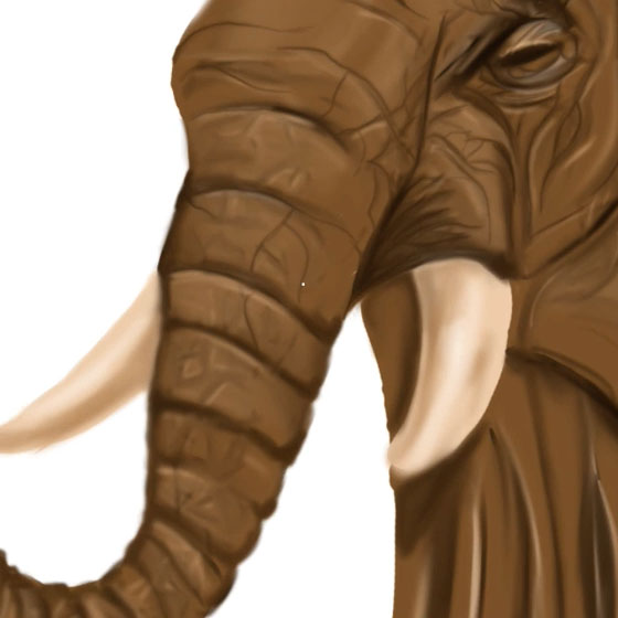 Arbre-éléphant 18