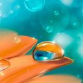 Étapes de la peinture d'une goutte de rosée