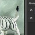 Peinture, utiliser les outils Densité de Photoshop