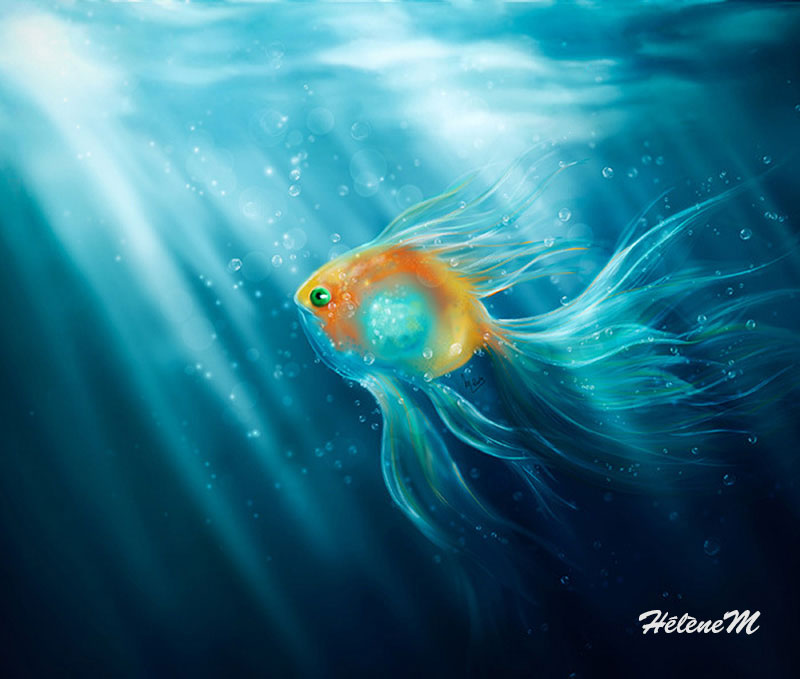Petit poisson lumineux - HélèneM