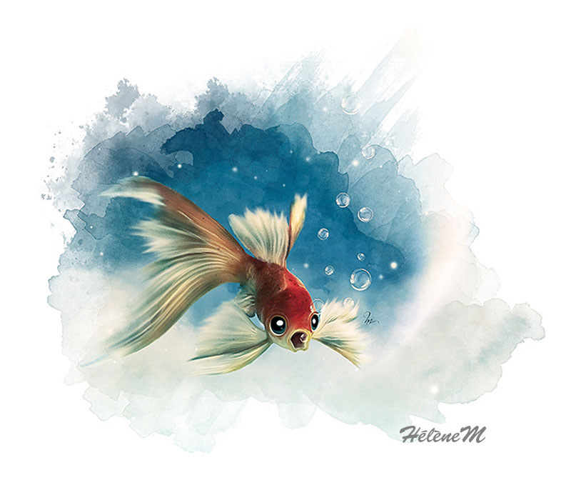 Petit poisson rouge - HélèneM