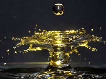 Photographies de gouttes d'eau par Michel Rohan