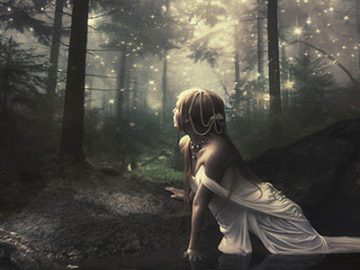 Photomontage : la forêt magique Photomontage La forêt magique