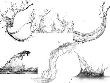 Pinceaux : Eau (3) Pinceaux Eau (3)