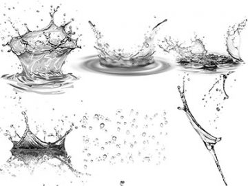 Pinceaux : Eau (4) Pinceaux Eau (4)