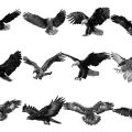 Pinceaux Aigles (1)