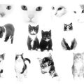 Pinceaux Chats (1)