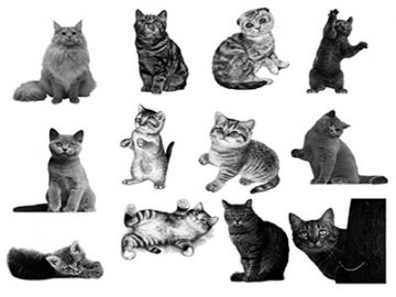 Pinceaux Chats (3)
