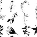 Pinceaux Feuilles (1)