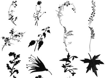 Pinceaux Feuilles (1)