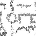 Pinceaux Feuilles (2)