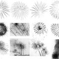 Pinceaux Feux d'artifice (3)