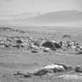 Pinceaux Mars (02)