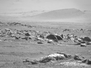 Pinceaux Mars (02)