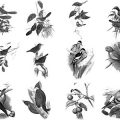 Pinceaux Oiseaux (3)