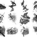 Pinceaux Oiseaux (4)