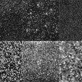 Pinceaux Paillettes (6)