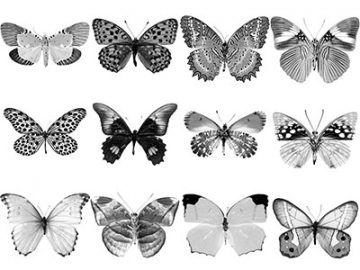 Pinceaux Papillons (3)