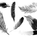 Pinceaux Plumes (1)