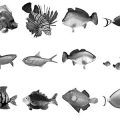 Pinceaux Poissons (3)