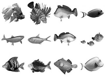 Pinceaux : Poissons (3) Pinceaux Poissons (3)