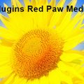 Plugins Red Paw Media