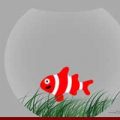 Dessiner un poisson dans son bocal