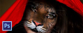 Retouche peinture, femme-tigre (Furry Art)