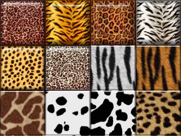 Styles Safari (02)
