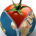Une tomate sous Terre
